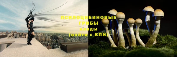 кокаин Новозыбков